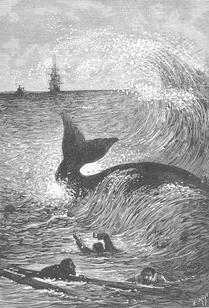 Жюль Верн - Пятнадцатилетний капитан ( илл.Мейер )