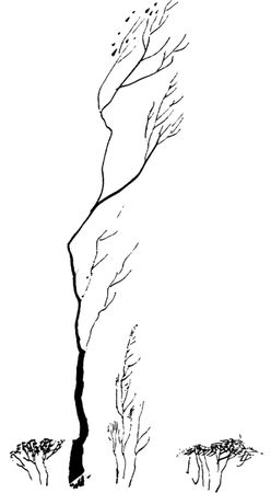 Николай Рубцов - Лирика