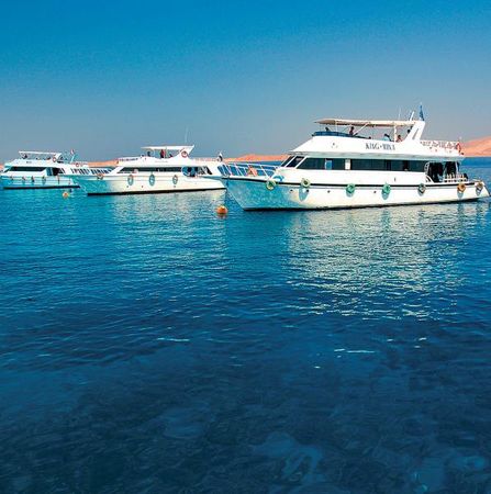 Андрей Рянский - Дайвинг. Красное море