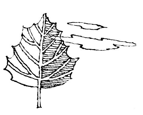 Ольга Коренева - Белая ласточка