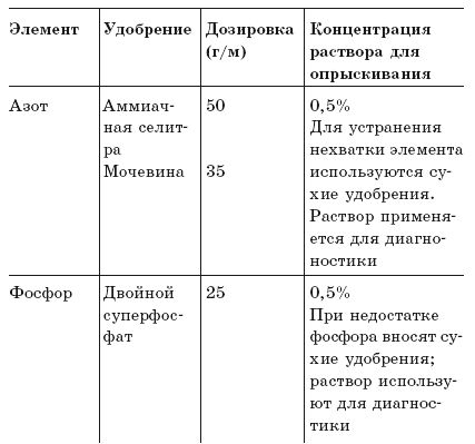 Анастасия Семенова - Луна и цветущий сад