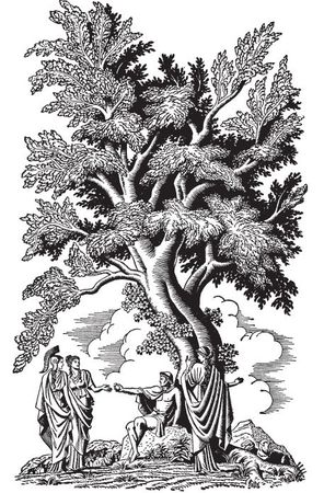 Эдит Гамильтон - Мифы и легенды Греции и Рима