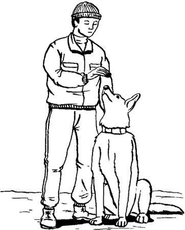 Ольга Зыкина - Немецкая овчарка