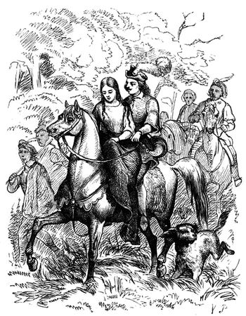 Ганс Андерсен - Дикие лебеди