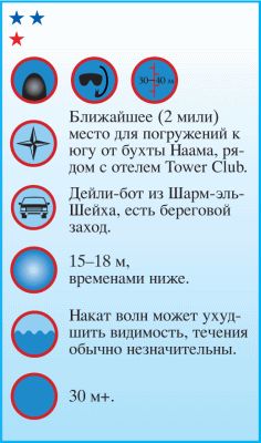 Андрей Рянский - Дайвинг. Красное море