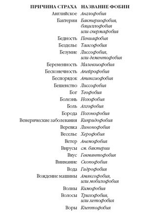 Стивен Джуан - История мозга. 1640 фактов