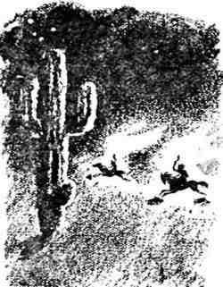 Николай Верзилин - Путешествие с домашними растениями