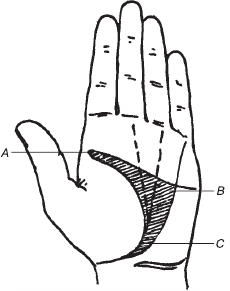 Теодор Шварц - Тайное знание. Секреты нумерологии, хиромантии, астрологии, гаданий