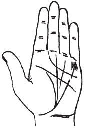 Теодор Шварц - Тайное знание. Секреты нумерологии, хиромантии, астрологии, гаданий