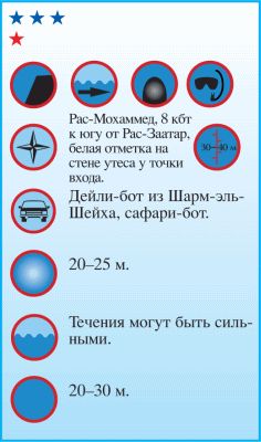 Андрей Рянский - Дайвинг. Красное море