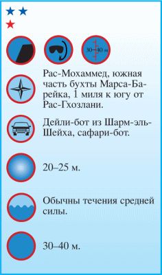 Андрей Рянский - Дайвинг. Красное море