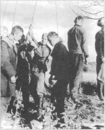 К. Александров - ПОД НЕМЦАМИ. Воспоминания, свидетельства, документы