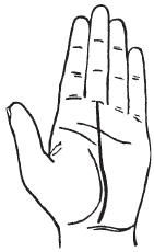 Теодор Шварц - Тайное знание. Секреты нумерологии, хиромантии, астрологии, гаданий