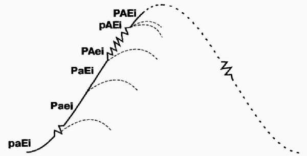 Ицхак Адизес - Управление жизненным циклом корпорации