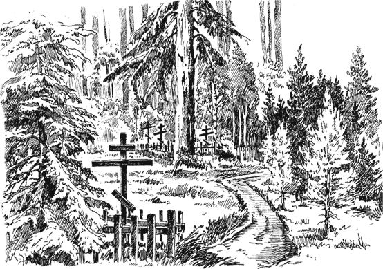 Вячеслав Чиркин - Северные были (сборник)