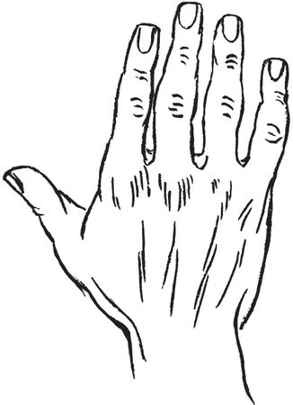 Луис Хамон - Энциклопедия хиромантии. Искусство толкования судьбы от древности...