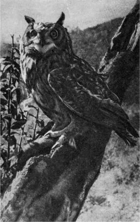 Дмитрий Зуев - Времена года