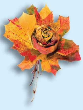 Татьяна Плотникова - Поделки из засушенных цветов и листьев