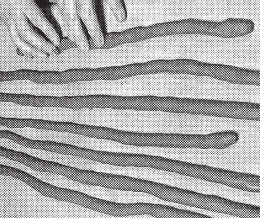 Татьяна Дорошенко - Изделия из керамики