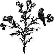 Дмитрий Зуев - Времена года