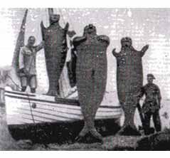 Игорь Акимушкин - Тропою легенд