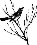 Дмитрий Зуев - Времена года