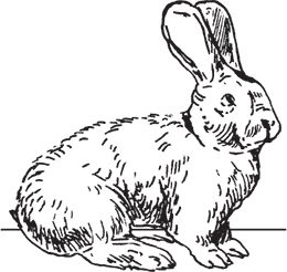 Сергей Кашин - Фермерское хозяйство. Доступное и успешное