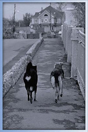 Юрий Шестопал - Мы для любви все рождены...