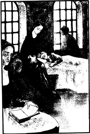 Александр Дюма - Шевалье де Мезон-Руж