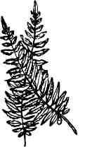 Дмитрий Зуев - Времена года