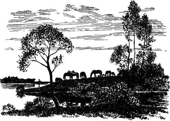 Дмитрий Зуев - Времена года