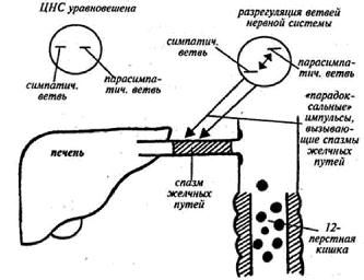 Владимир Гусев - Возвращение в молодость