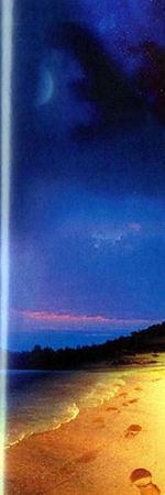 Александр Хакимов - Реинкарнация. Размышления