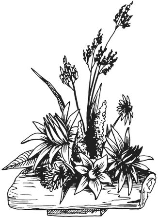 Татьяна Плотникова - Поделки из засушенных цветов и листьев