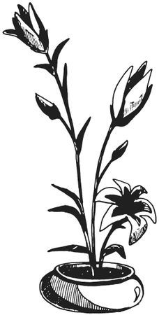 Татьяна Плотникова - Поделки из засушенных цветов и листьев