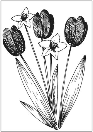 Татьяна Плотникова - Поделки из засушенных цветов и листьев