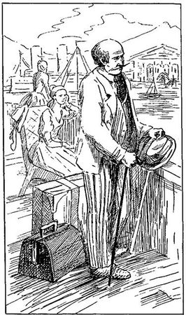 Густав Эмар - Том 20. Фланкер. Новая Бразилия