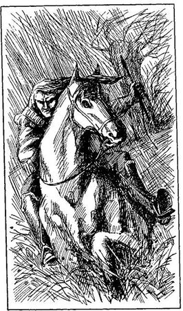 Густав Эмар - Том 20. Фланкер. Новая Бразилия