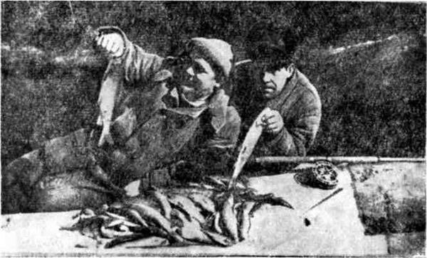 Марк Пуссе - По Беломорью