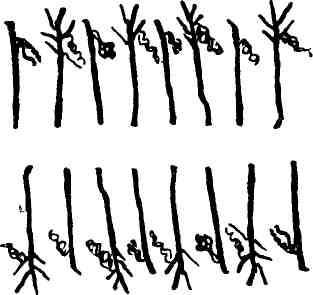 Макс Поляновский, Илья Быков - С букварем у гиляков. Сахалинские дневники...