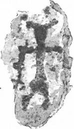 Грэм Хэнкок - Сверхъестественное. Боги и демоны эволюции