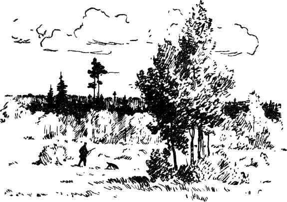 Дмитрий Зуев - Времена года