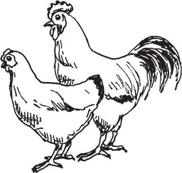 Сергей Кашин - Фермерское хозяйство. Доступное и успешное