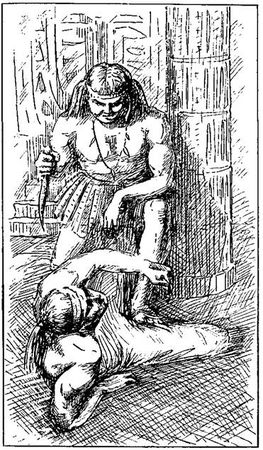 Густав Эмар - Том 20. Фланкер. Новая Бразилия