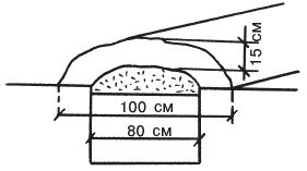 Светлана Ермакова, Светлана Хворостухина - Рассада на вашем участке. Уникальные...