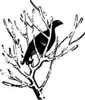 Дмитрий Зуев - Времена года