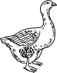 Сергей Кашин - Фермерское хозяйство. Доступное и успешное