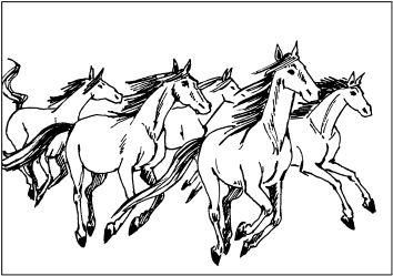 Светлана Ращупкина - Выжигание по дереву