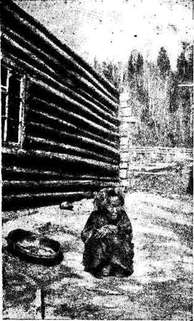 Макс Поляновский, Илья Быков - С букварем у гиляков. Сахалинские дневники...