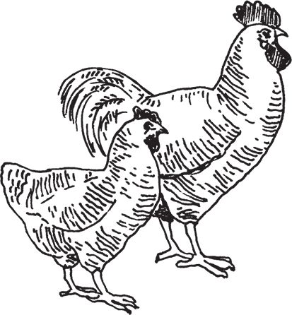 Сергей Кашин - Фермерское хозяйство. Доступное и успешное